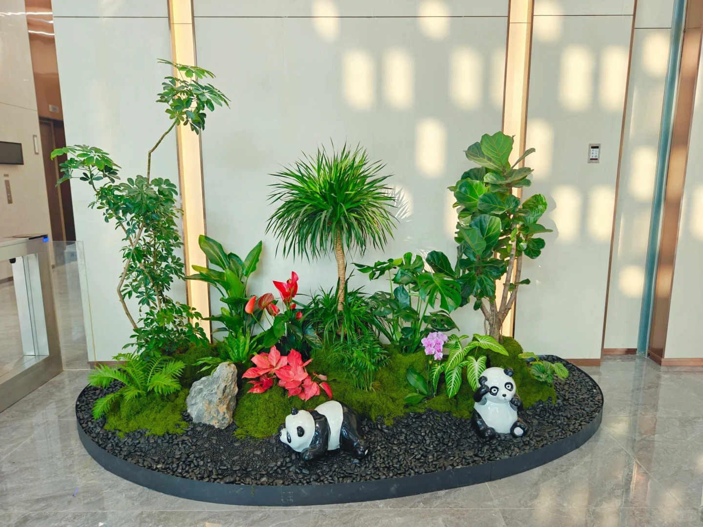 余姚盆景租摆专业，领略独特艺术风情